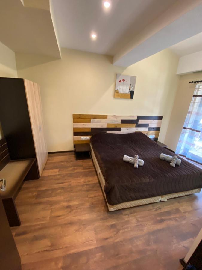 Cozy Apartment With Fantastic View Bansko Buitenkant foto